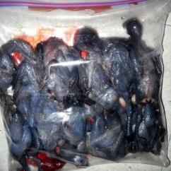 These raw, black chickens were seized at Dulles International Airport April 22 by Customs and Border Patrol agricultural special